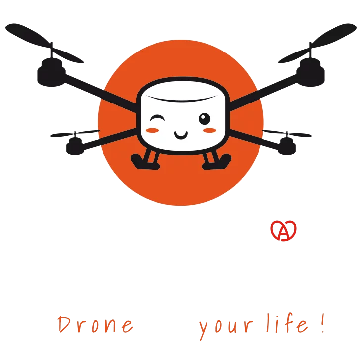 Logo Skypic - Images par drone